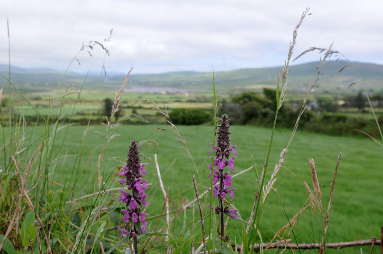 Short Strand Dingle Emlagh East エクステリア 写真